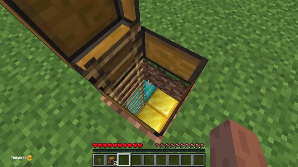 Use a Ladder in Minecraft 