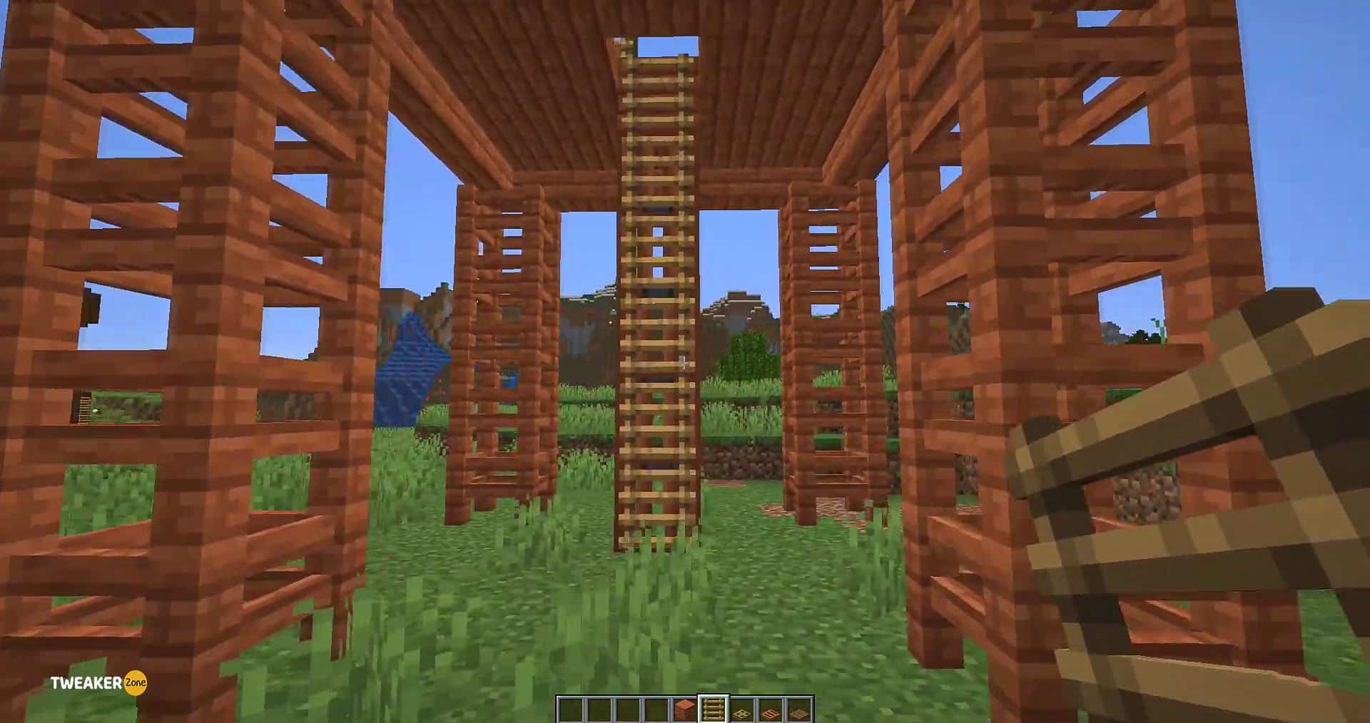 ladder in Minecraft