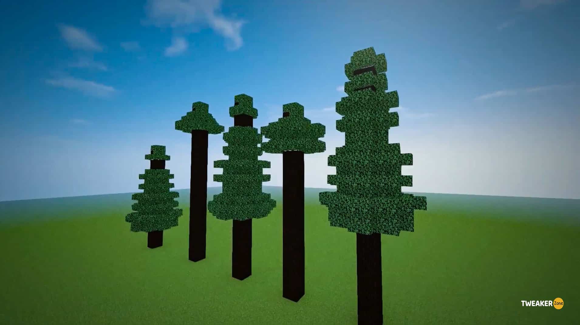 Different Spruce Tree Variants In Minecraft