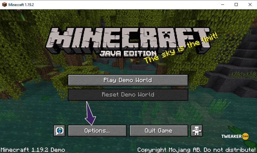 Minecraft Options