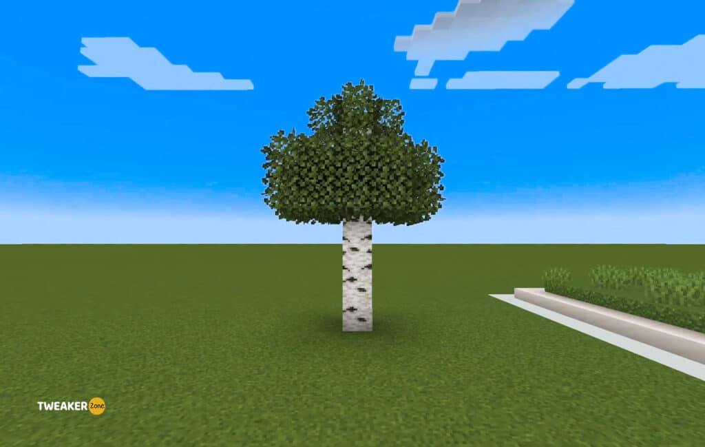 Birch tree in minecraft