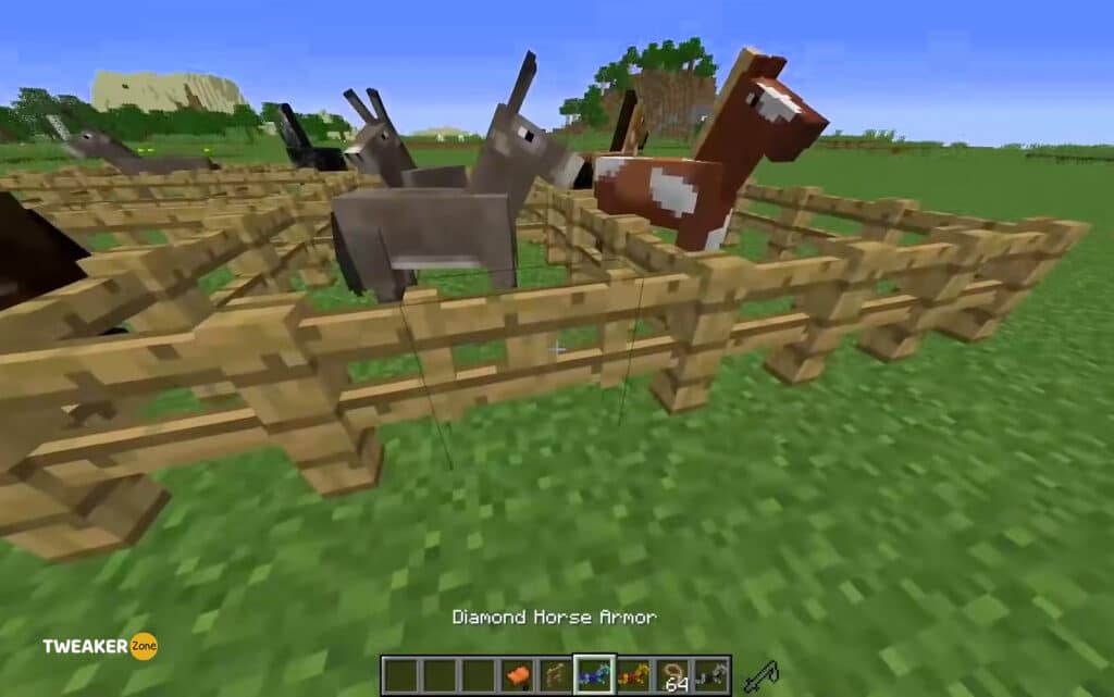 Find A Horse in Minecraft