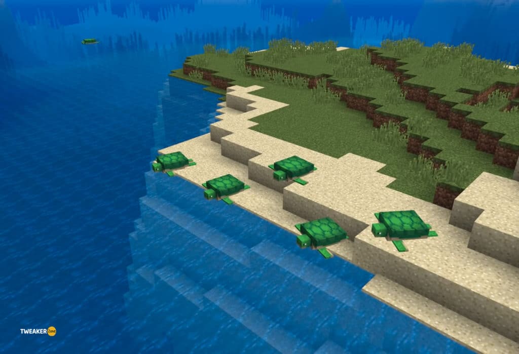 Find Turtles In Minecraft