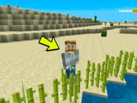 Grow Sugar Cane In Minecraft