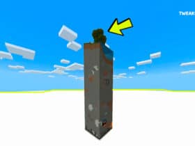 How Big Is A Chunk In Minecraft