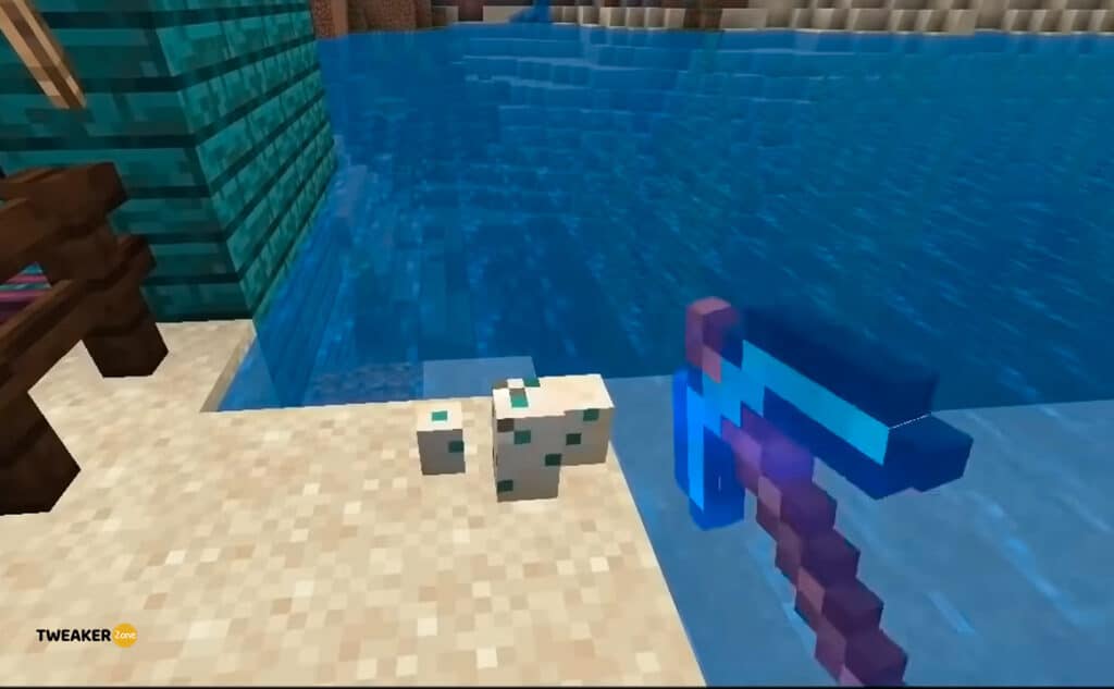 Move Turtle Eggs Without Breaking Them