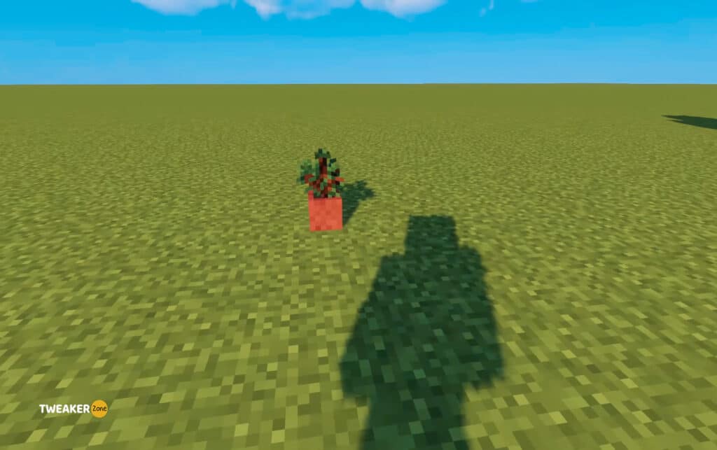 Spruce in minecraft