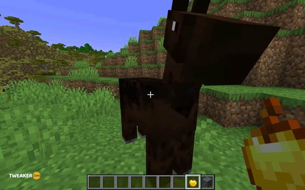 What Will Happen If You Feed Horses In Minecraft