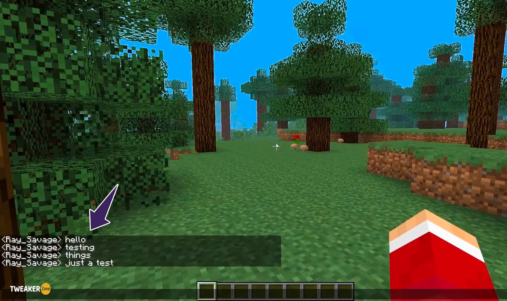 Chat in Minecraft